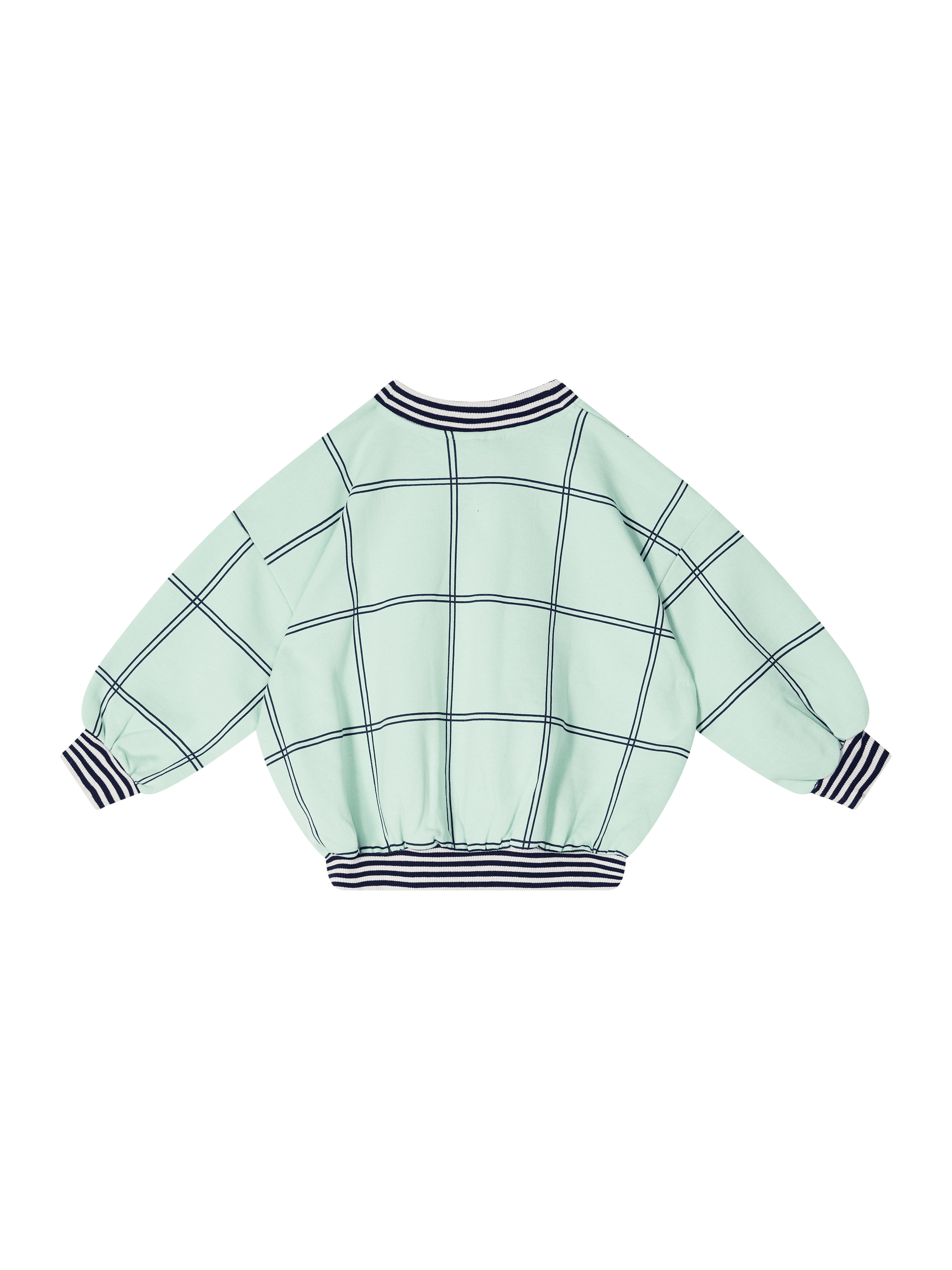 Mini Rodini Sweatshirt 'Check Panther Patch' Hellgrün, Rückansicht – UNGER.DE