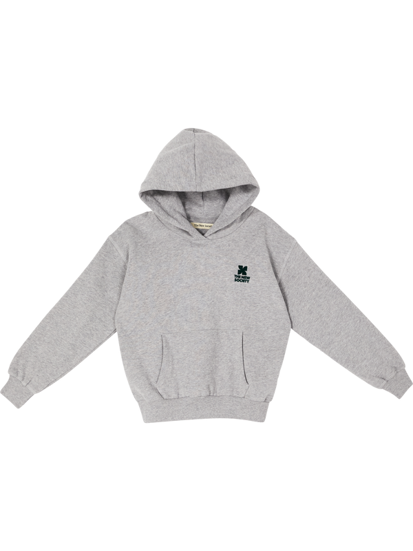 'TNS Logo' hooded sweater grey