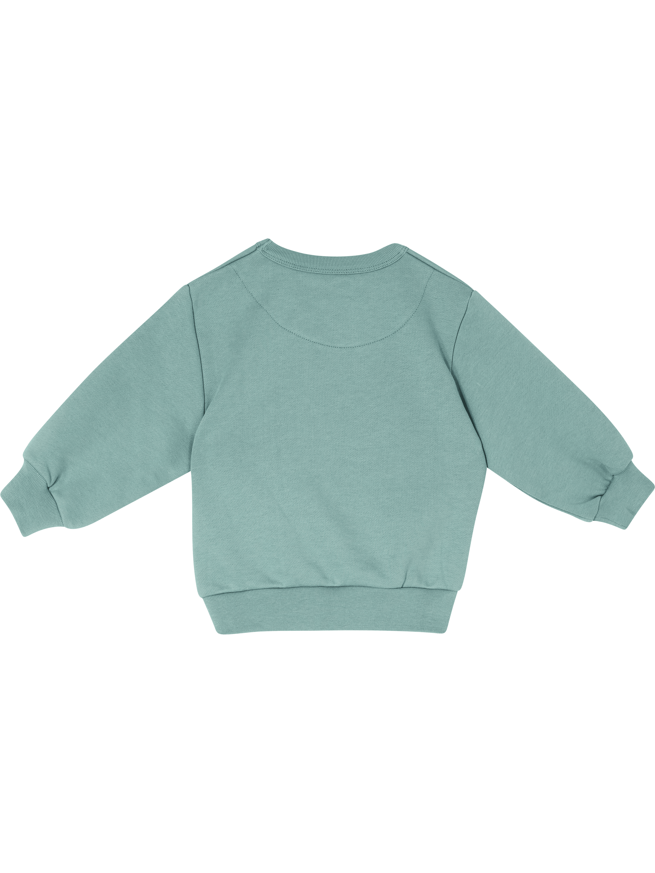 TINYCOTTONS 'Two Dogs Graphic' jumper, green – UNGER.DE