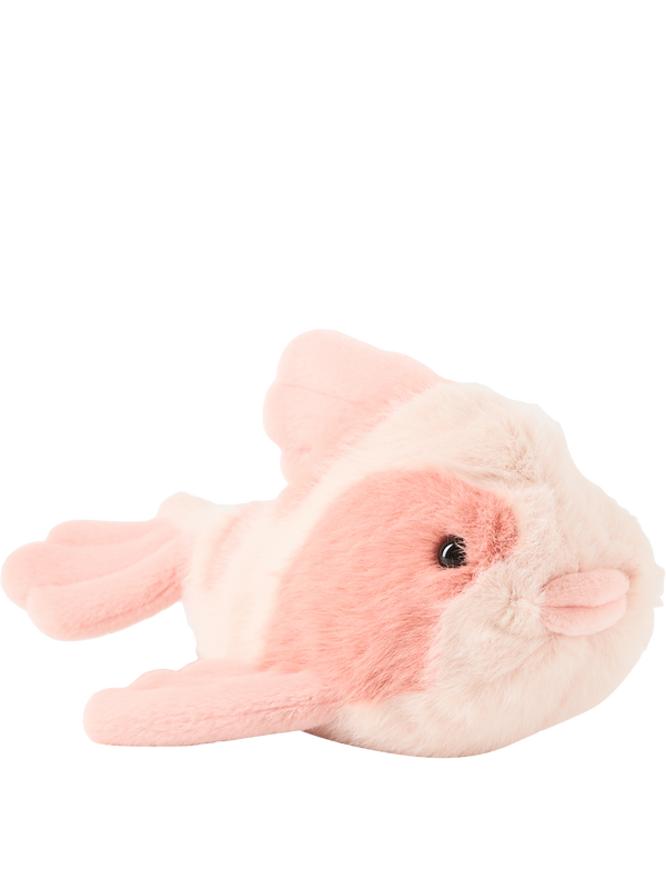 Karpfen 'Fancy Carp' Orange