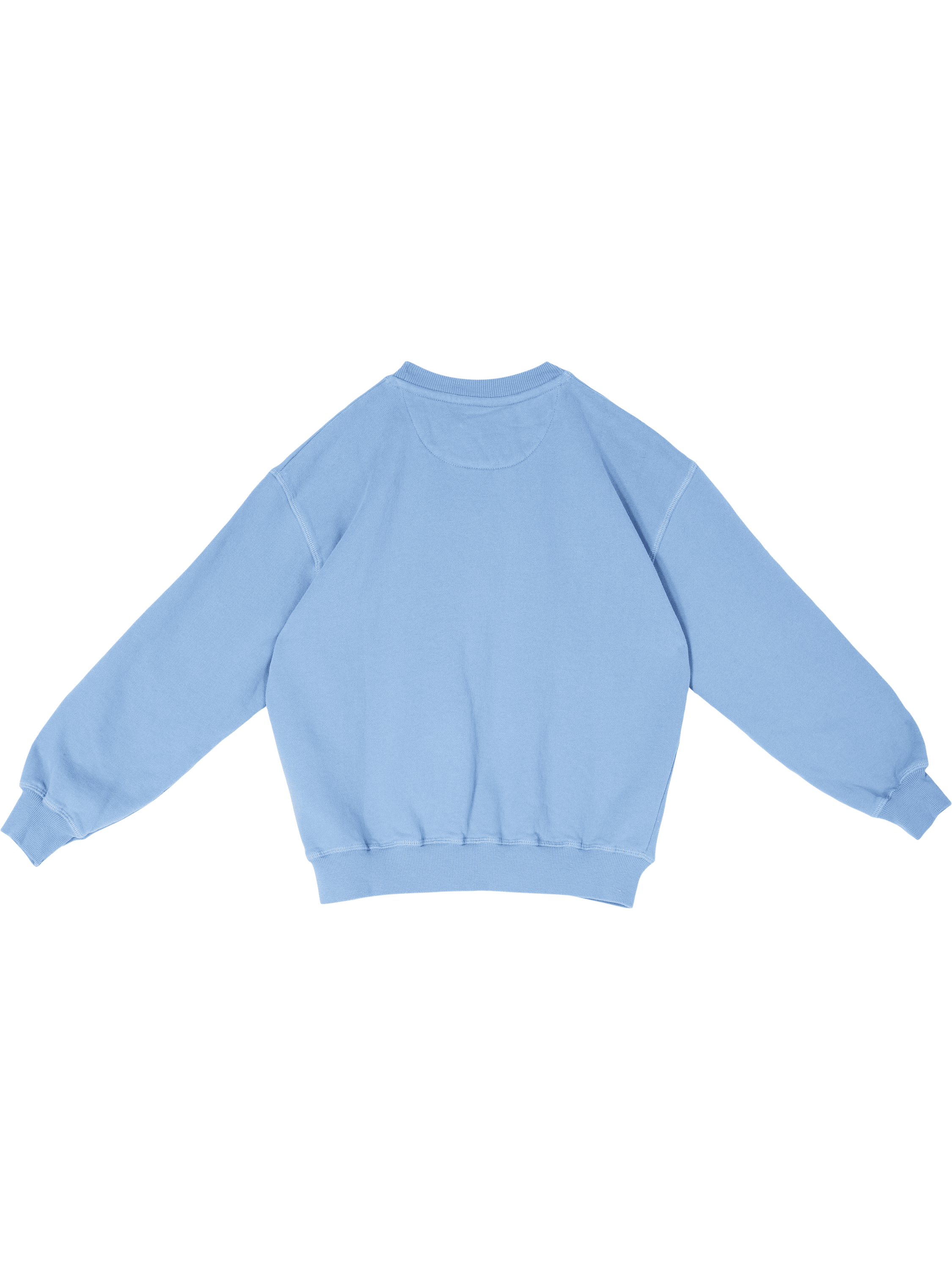 The New Society Sweatshirt 'TNS Logo' Blau – UNGER.DE