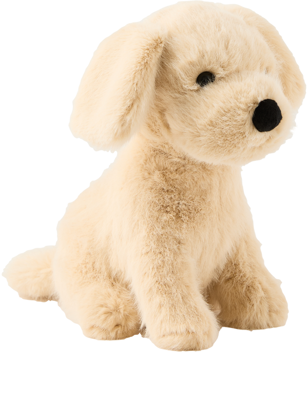 Golden Retriever 'Golden Puppy' Gelb