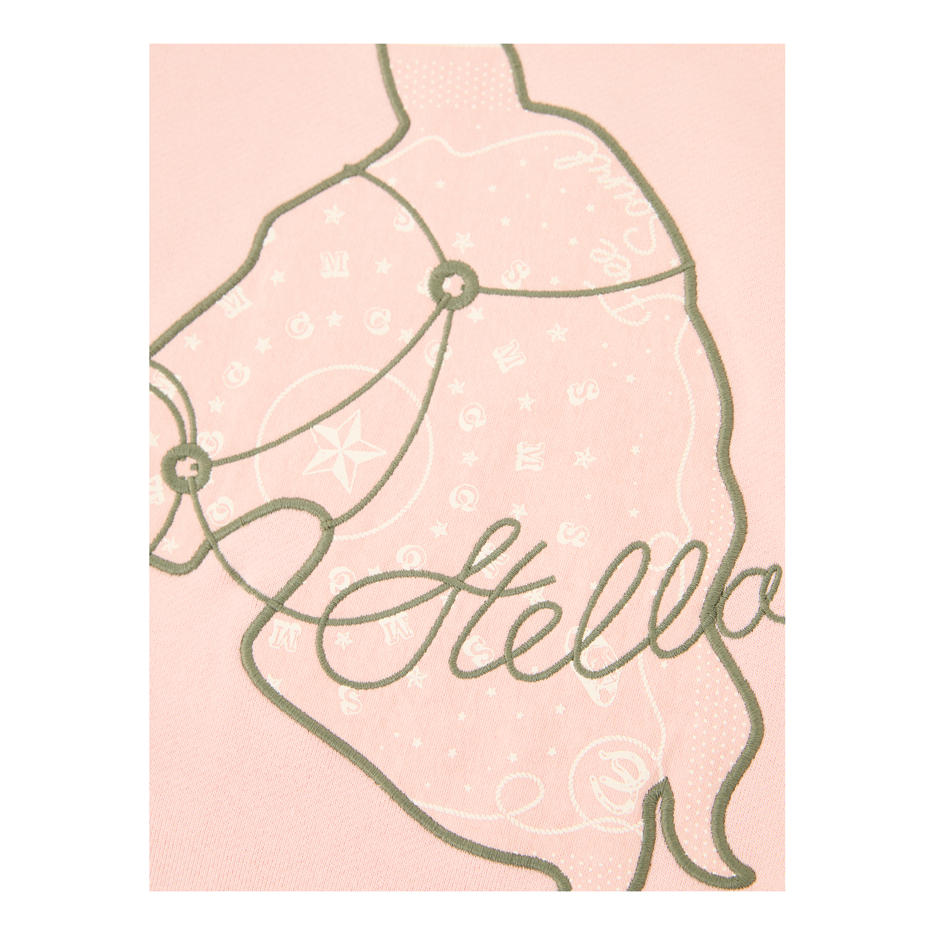 Stella McCartney Kids Sweatshirt mit Pferde-Grafik Rosé, Frontansicht – UNGER.DE