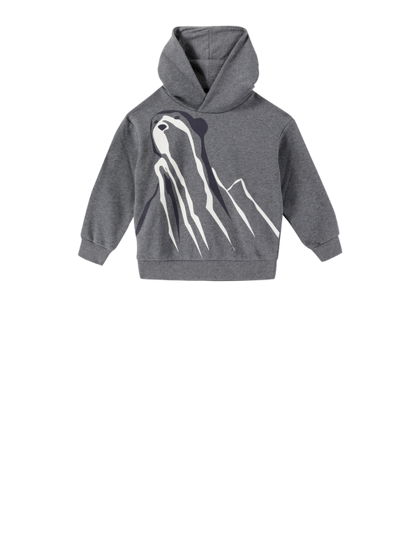 Kapuzenpullover Grau